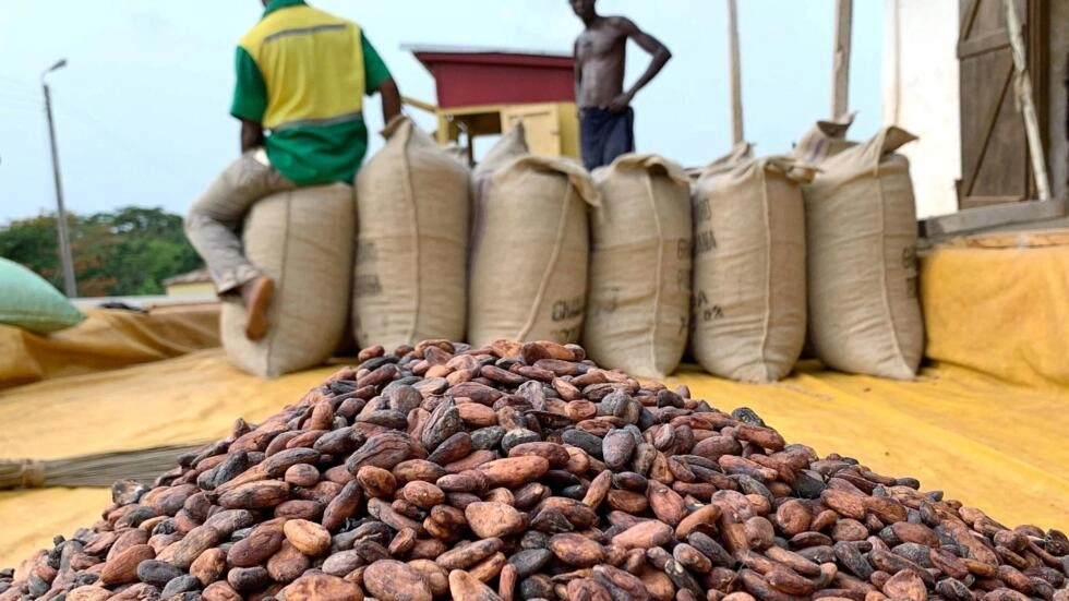 La Chine supprime les droits de douane pour tous les pays africains, à l'exception d'un seul