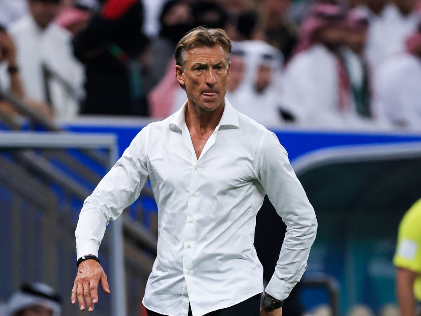 Hervé Renard fait son retour à la tête des Éléphants de Côte d’Ivoire