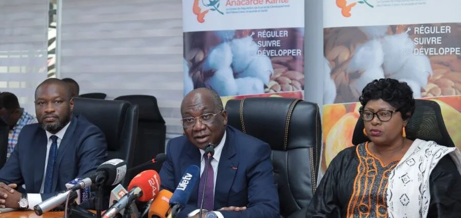Le prix bord champ de l’amande de karité fixé à 250 FCFA/kg en Côte d’Ivoire