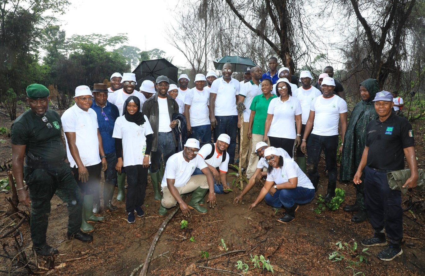 Banque Atlantique initie une opération de reboisement de 5 hectares en Côte d’Ivoire